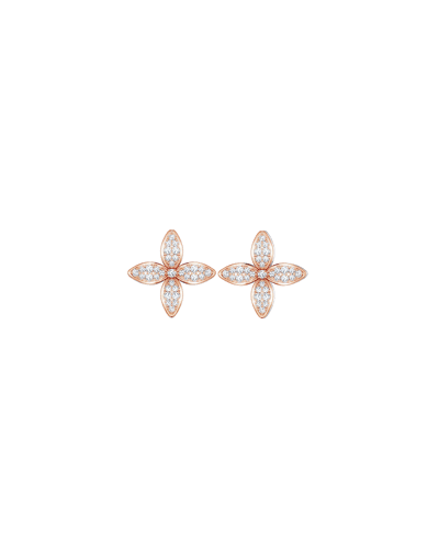 미뇽3(D)