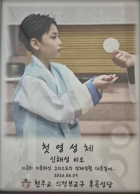 강진주