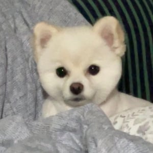 달자언니 프로필 이미지