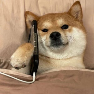 판매자 프로필 이미지