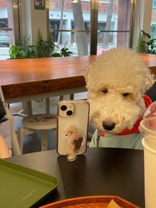 판매자 프로필 이미지