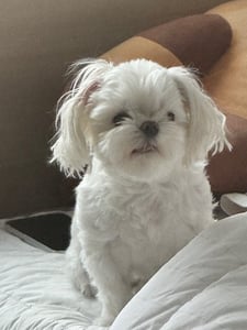 해피바이 프로필 이미지
