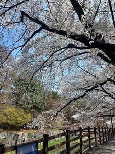 판매자 프로필 이미지