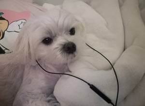 bbtmom 프로필 이미지