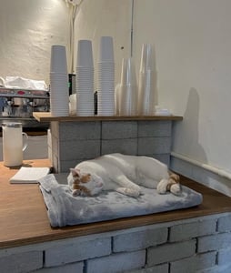 판매자 프로필 이미지