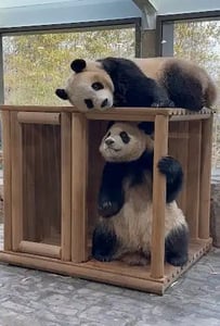 판매자 프로필 이미지