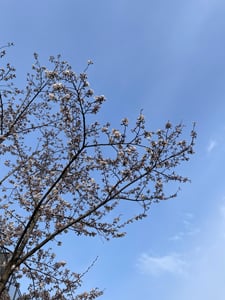 YYHH 프로필 이미지