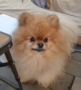 판매자 프로필 이미지