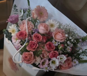 Banji 프로필 이미지
