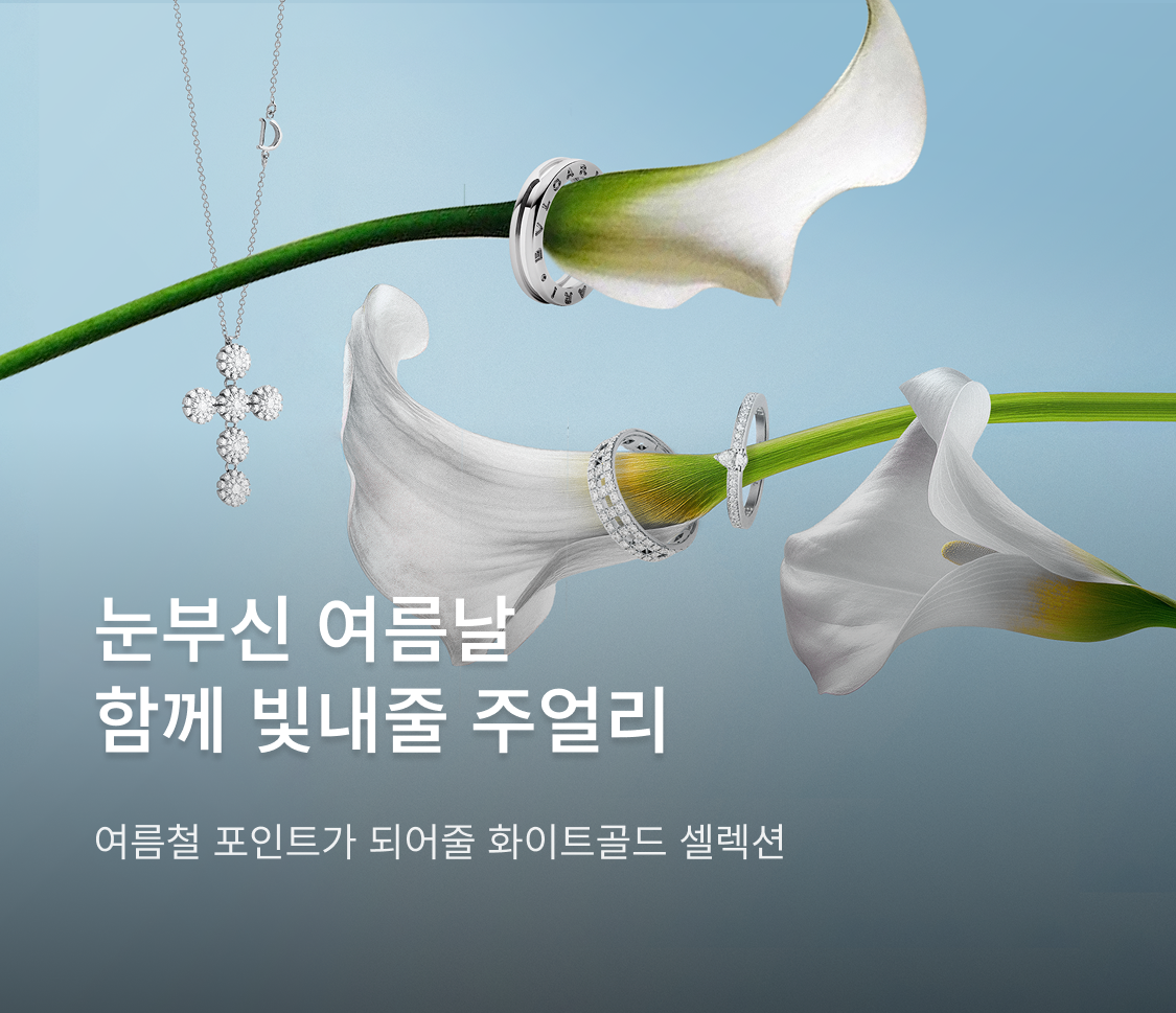 여름 셀렉션