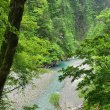 오세란 프로필 이미지