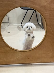 판매자 프로필 이미지