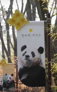 애플 프로필 이미지