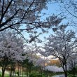 0320 프로필 이미지