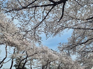 rina 프로필 이미지