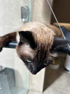 판매자 프로필 이미지