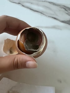 판매자 프로필 이미지