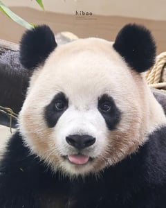 판매자 프로필 이미지