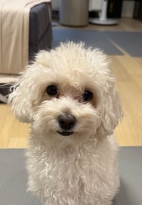 송의현 프로필 이미지