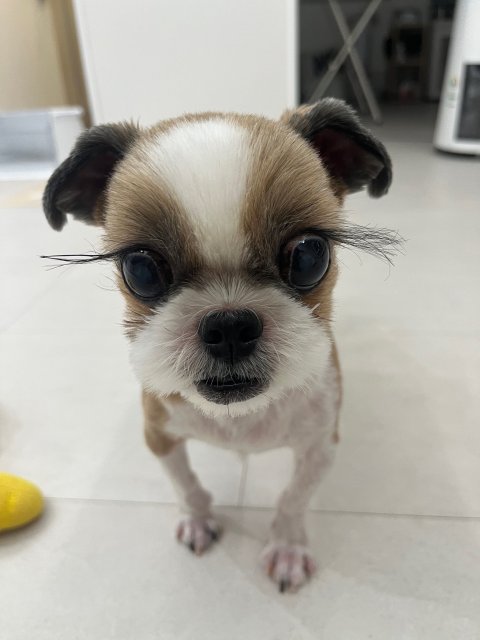프로필 이미지