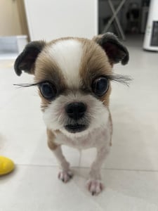 판매자 프로필 이미지