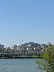 Cstar 프로필 이미지