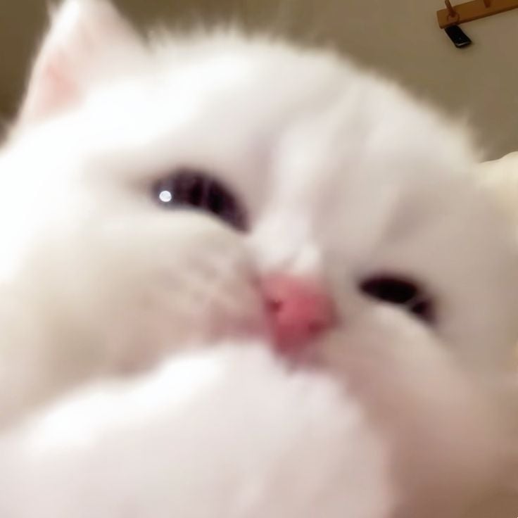 제품