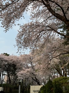 하리보골드 프로필 이미지