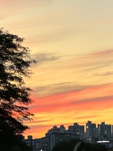 바도도 프로필 이미지