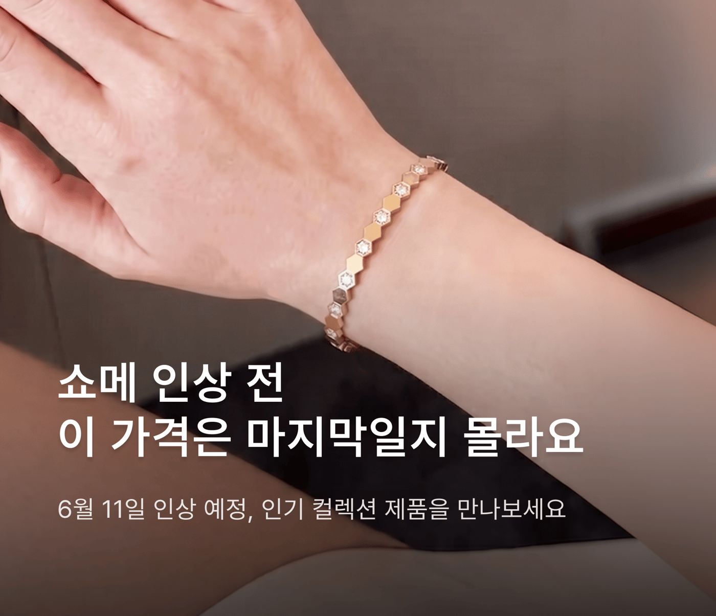 쇼메 인상 예정