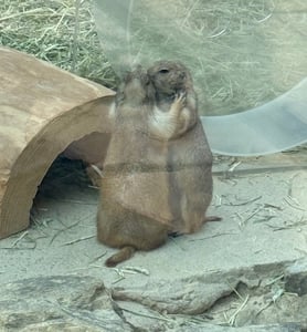 판매자 프로필 이미지