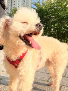 두우웅 프로필 이미지
