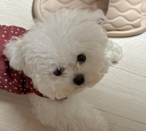 판매자 프로필 이미지