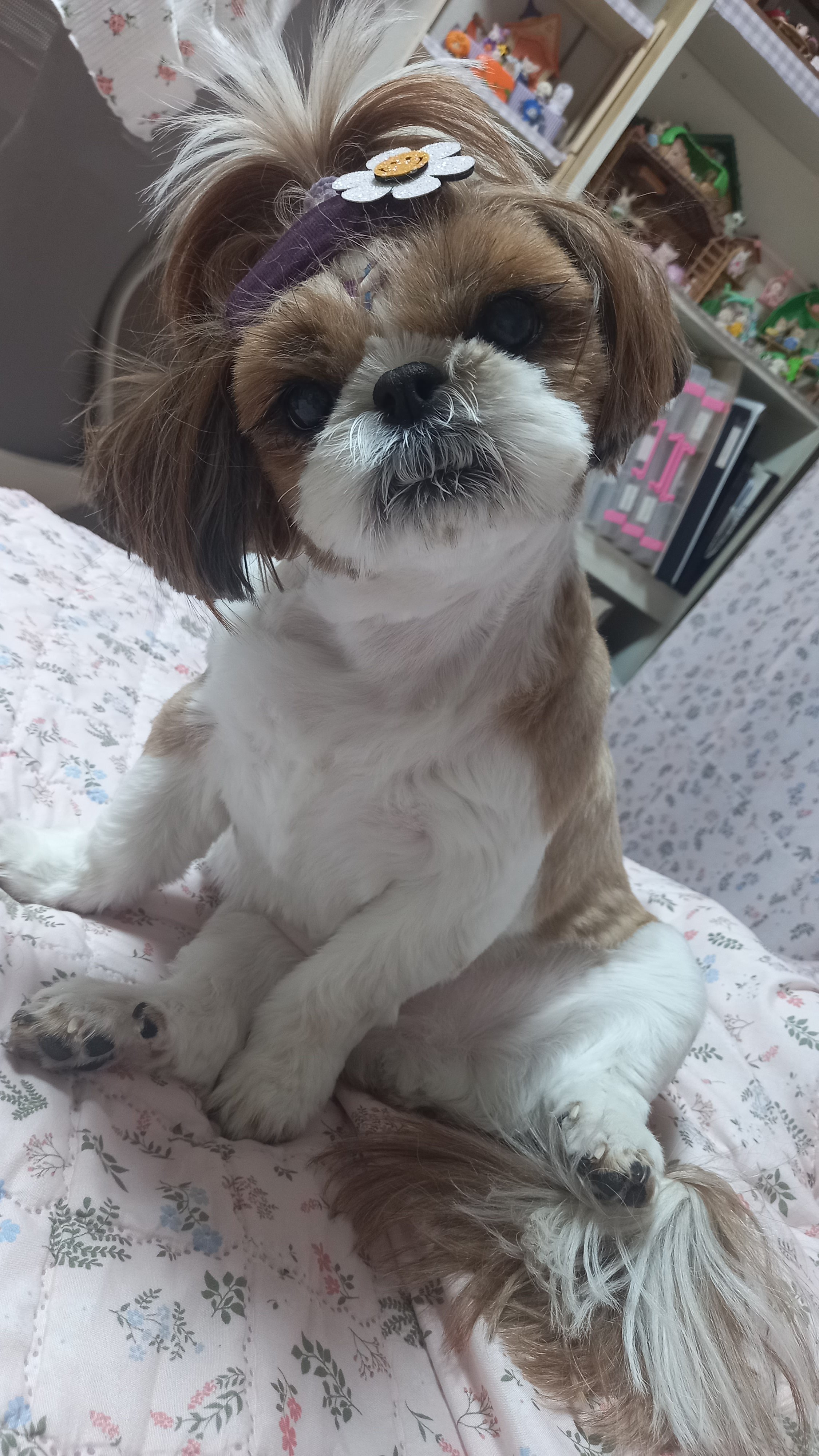 커피우유