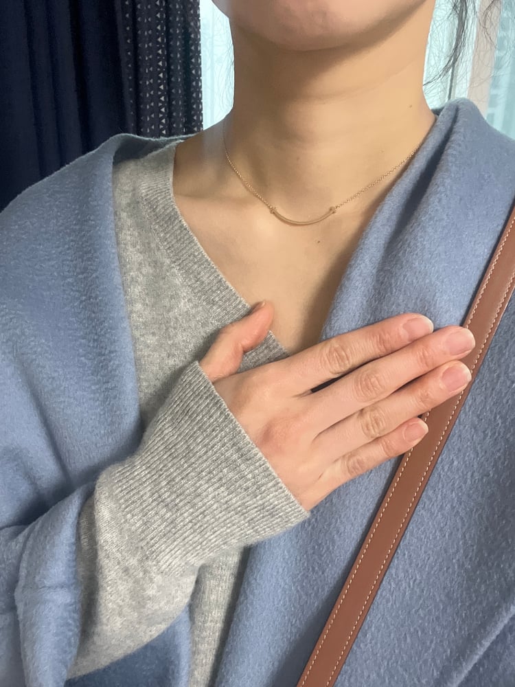 위시템 들였어요