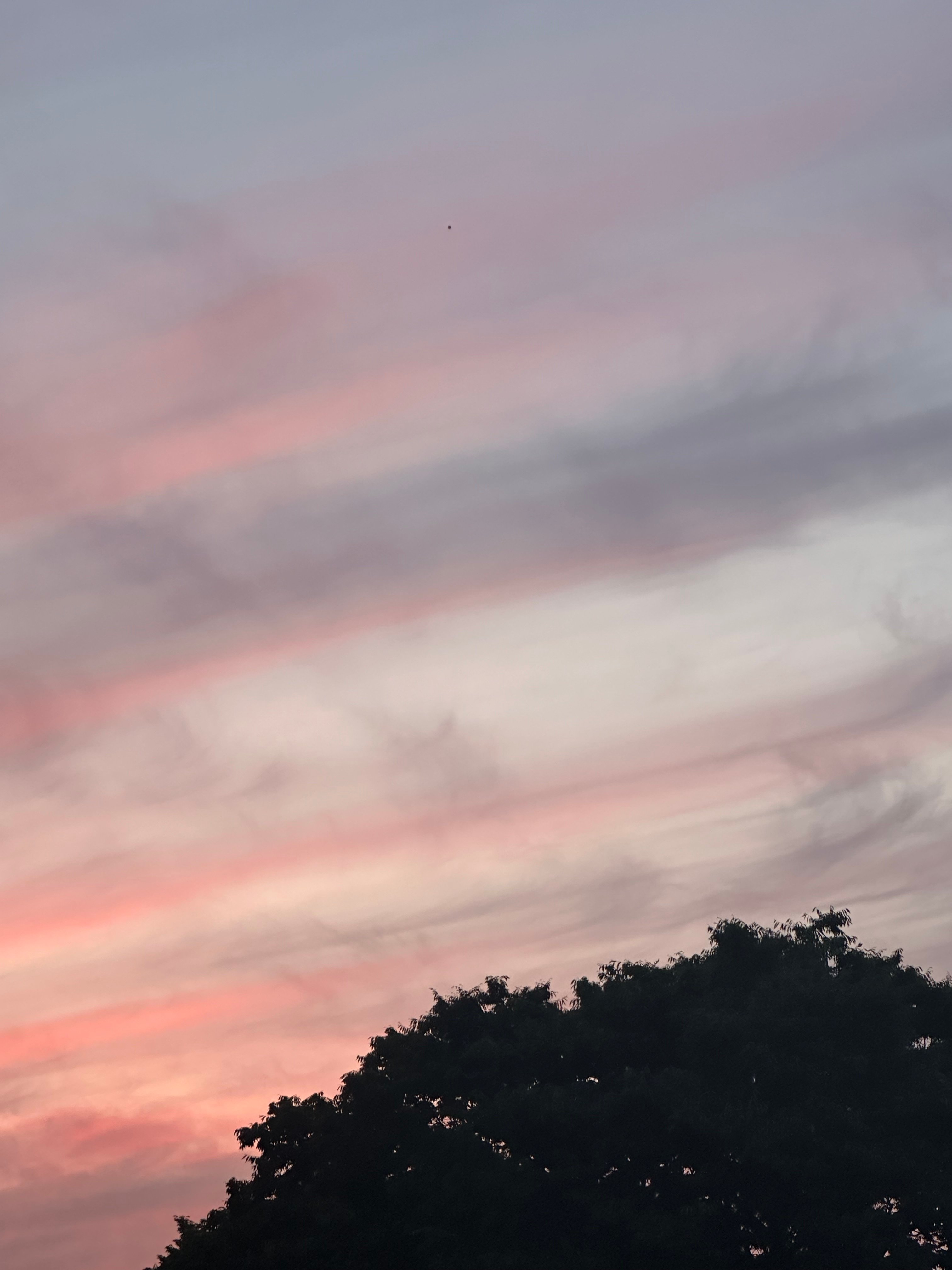 법석