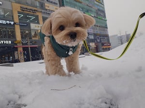 판매자 프로필 이미지