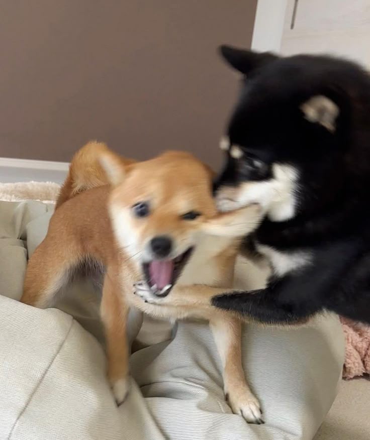 제품