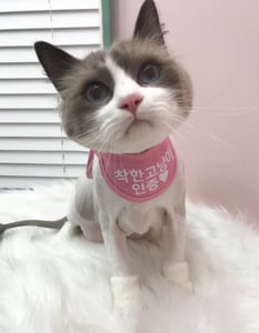 판매자 프로필 이미지