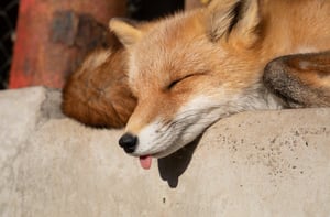 판매자 프로필 이미지