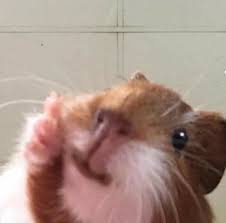 제품