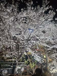 판매자 프로필 이미지