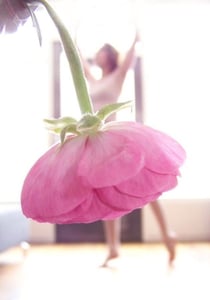 YJj 프로필 이미지