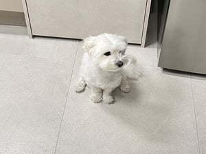 판매자 프로필 이미지