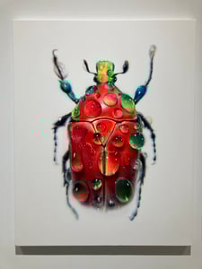 판매자 프로필 이미지