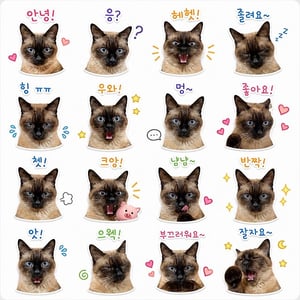 jks 프로필 이미지
