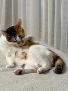 판매자 프로필 이미지