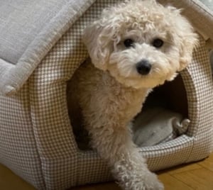 판매자 프로필 이미지