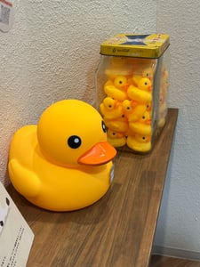 쥐콩 프로필 이미지