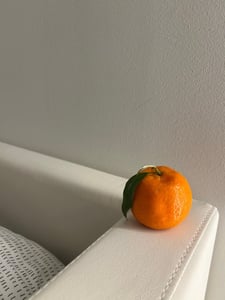 김선민 프로필 이미지